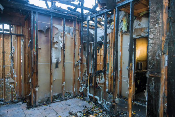 Professional Fire Damage Removal technician working in Elk River, MN
